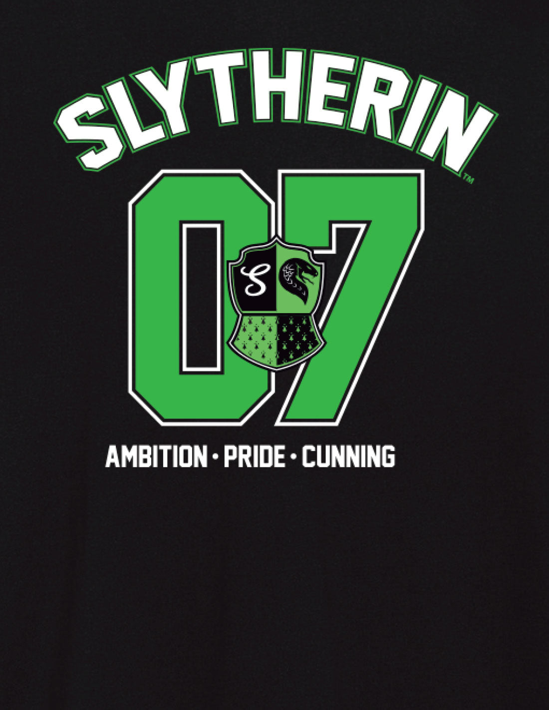 Harry Potter t-shirt - Slytherin Seeker