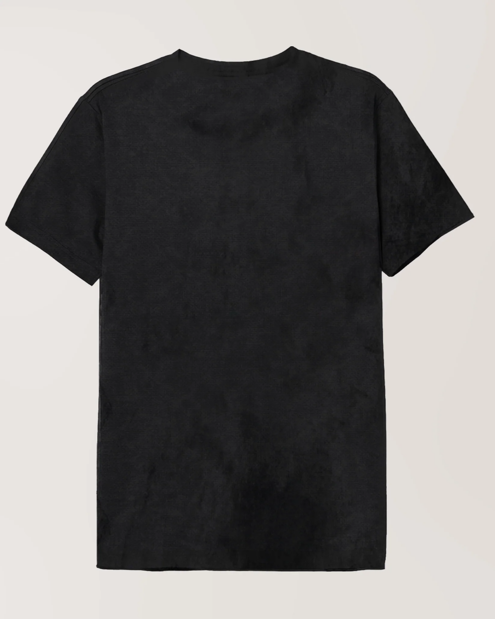 T-shirt Jurassic Park - logo classic - Stonewashed