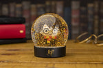 Boule à neige Harry Potter - Chibi Harry - Legend Icon Boules à neige Paladone