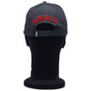 Casquette Marvel DEADPOOL LOGO - EMBROIDERY & PU