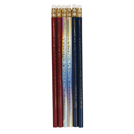 Ensemble de 6 crayons baguettes magiques Harry Potter