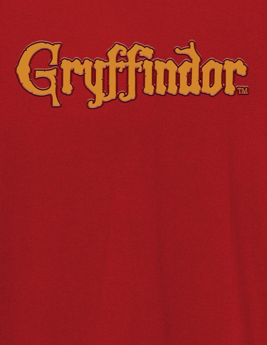 T-shirt Harry Potter - Gryffin Block - Legend Icon T-shirt Harry Potter