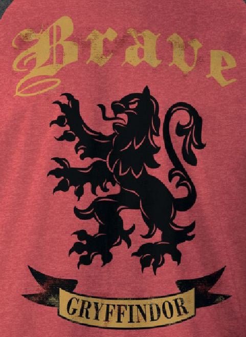 T-shirt Harry Potter - Gryffindor Brave