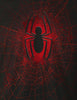 T-shirt Spider - Man Marvel - Destroyed Spider Web - Legend Icon T-shirt MARVEL