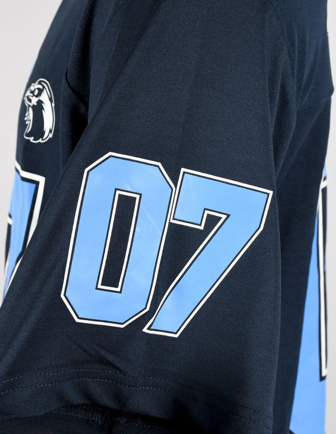 T-shirt Sport Harry Potter - Ravenclaw 07