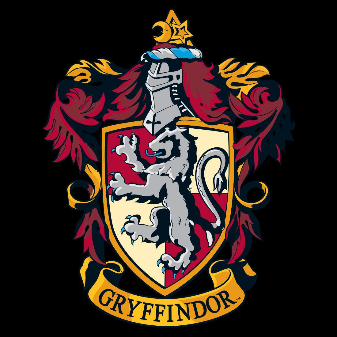 T-shirt Harry Potter - Gryffindor Quidditch Team