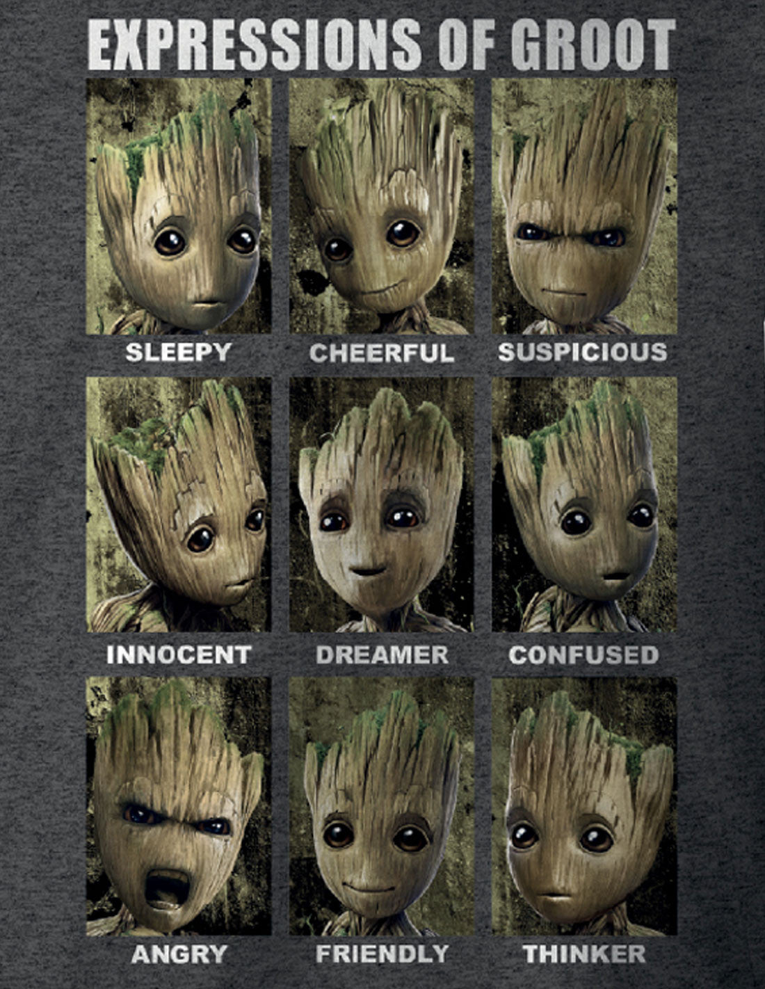 Guardians of the Galaxy Marvel T-shirt - Expressions of Groot