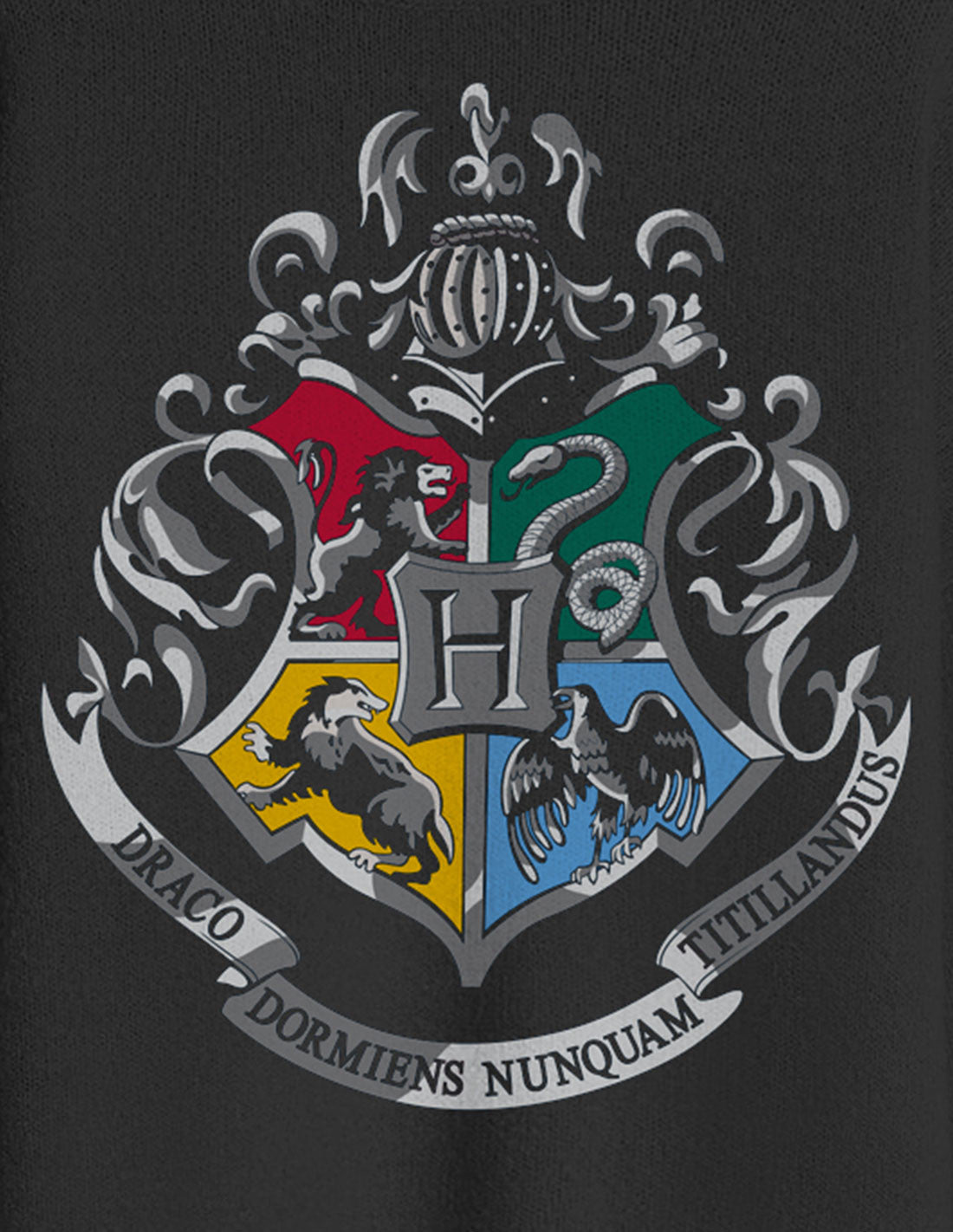 Harry Potter Women's Long Sweater - Hogwarts Blazon