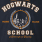 Harry Potter t-shirt - Hogwarts School