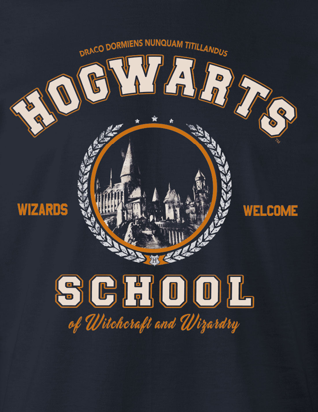 Harry Potter t-shirt - Hogwarts School