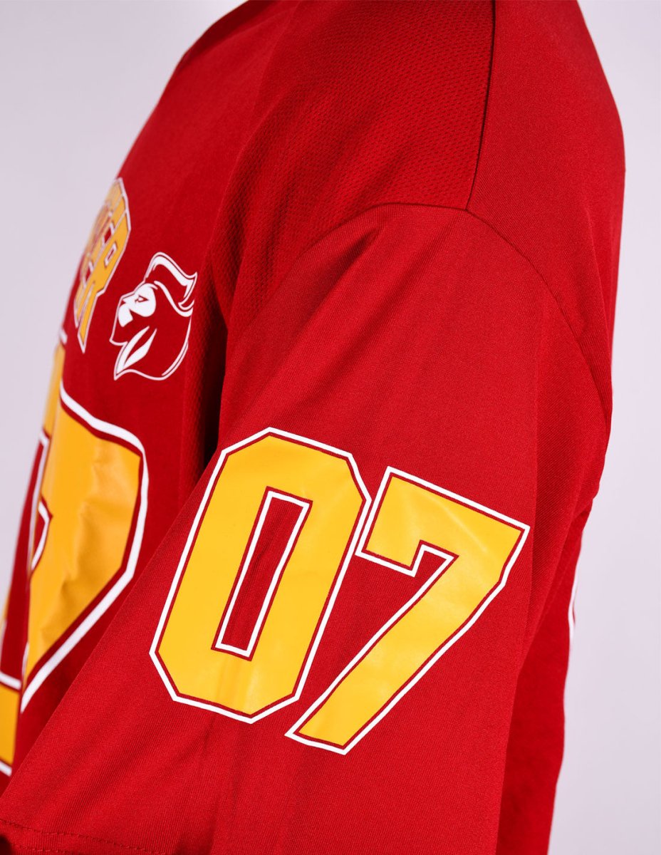 T-shirt Sport Harry Potter - Gryffindor 07 - Legend Icon T-shirt Harry Potter